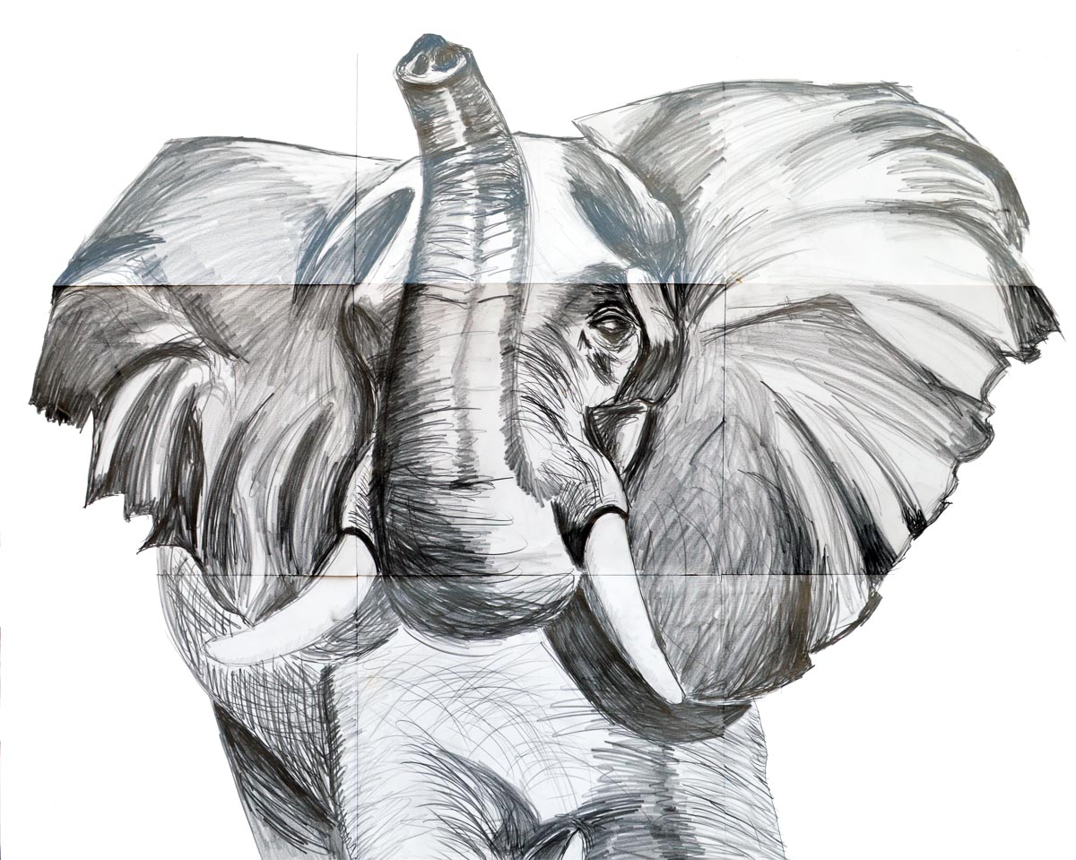 Zedism-Elephant-Sketch Zedism-Elephant-Sketch