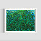 Zedist Kelp Forest | Open Edition Print Fine Art Print Zedism by Yuransky Smooth Fine Art Paper 8x10 White Frame