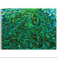 Zedist Kelp Forest  | Limited Edition Print Limited Edition Print Zedism by Yuransky Limited Edition Canvas 48"x36" 