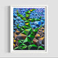 Zedist Cactus | Open Edition Print Fine Art Print Zedism by Yuransky Smooth Fine Art Paper 8x10 White Frame